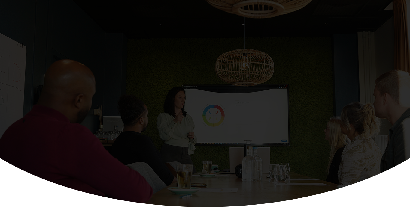 Uitleg over de DISC test