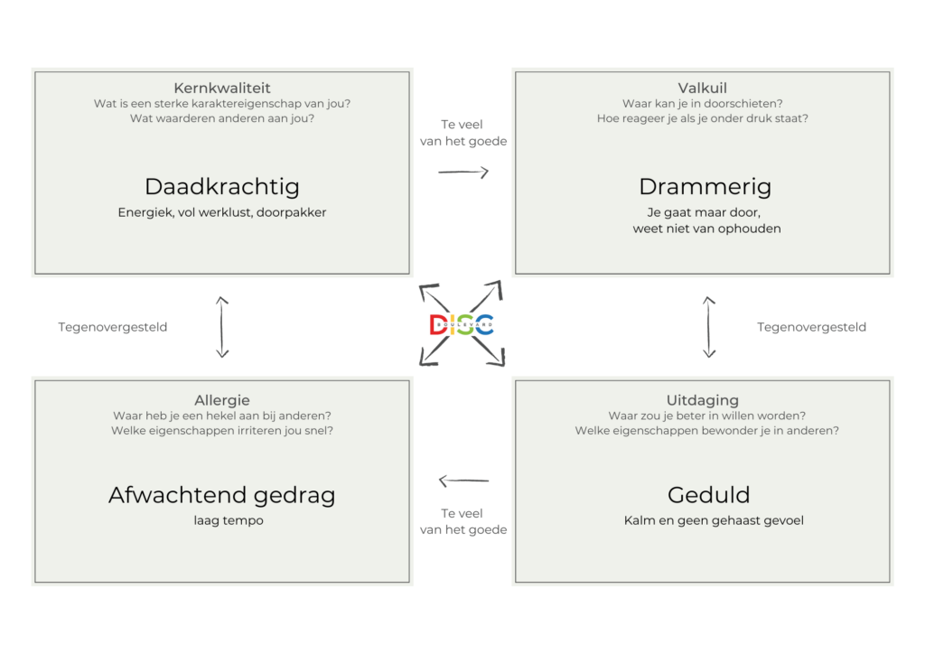 Kernkwadrant van Daniel Ofman